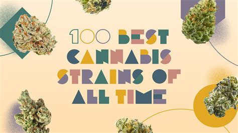 fendi weed|Leafly’s 100 best weed strains of all time.